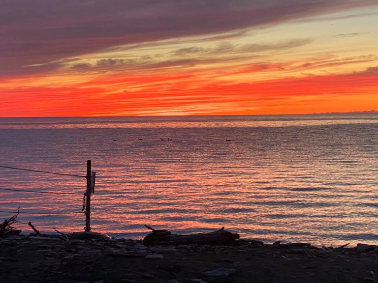 空氣污染改變?nèi)章漕伾? alt=